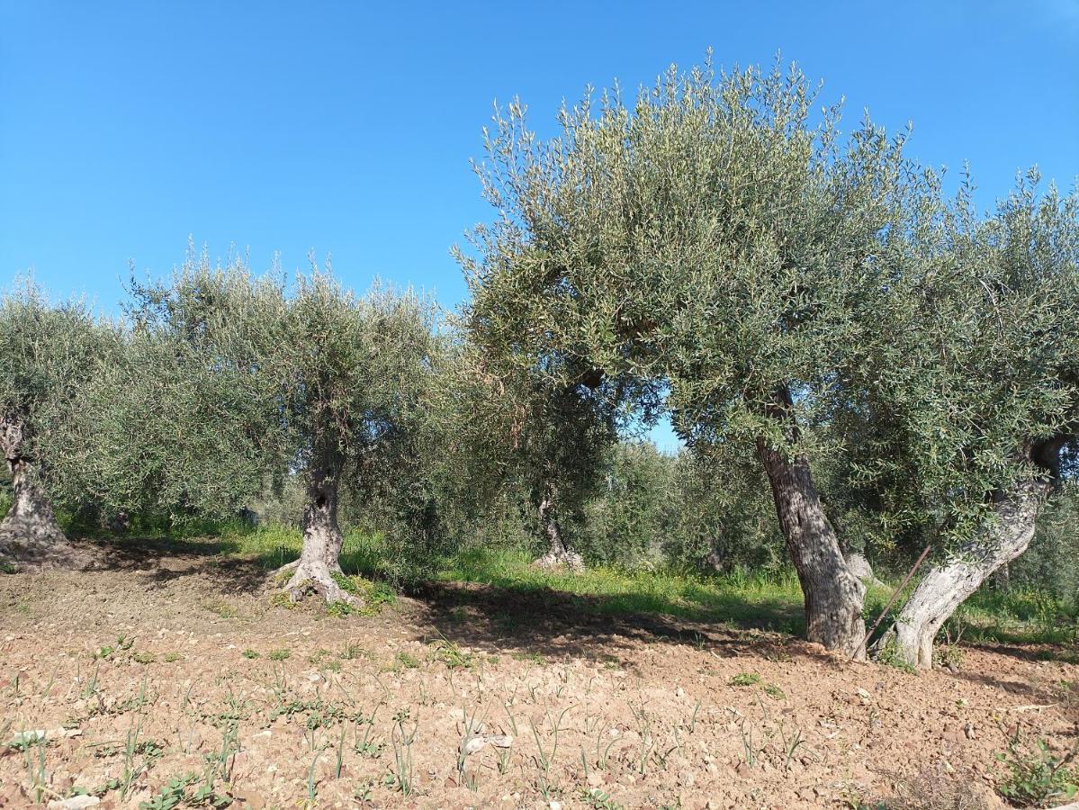 Вілла Agriturismo Le Campanelle - Sicilia - Cefalu Ласкарі Екстер'єр фото