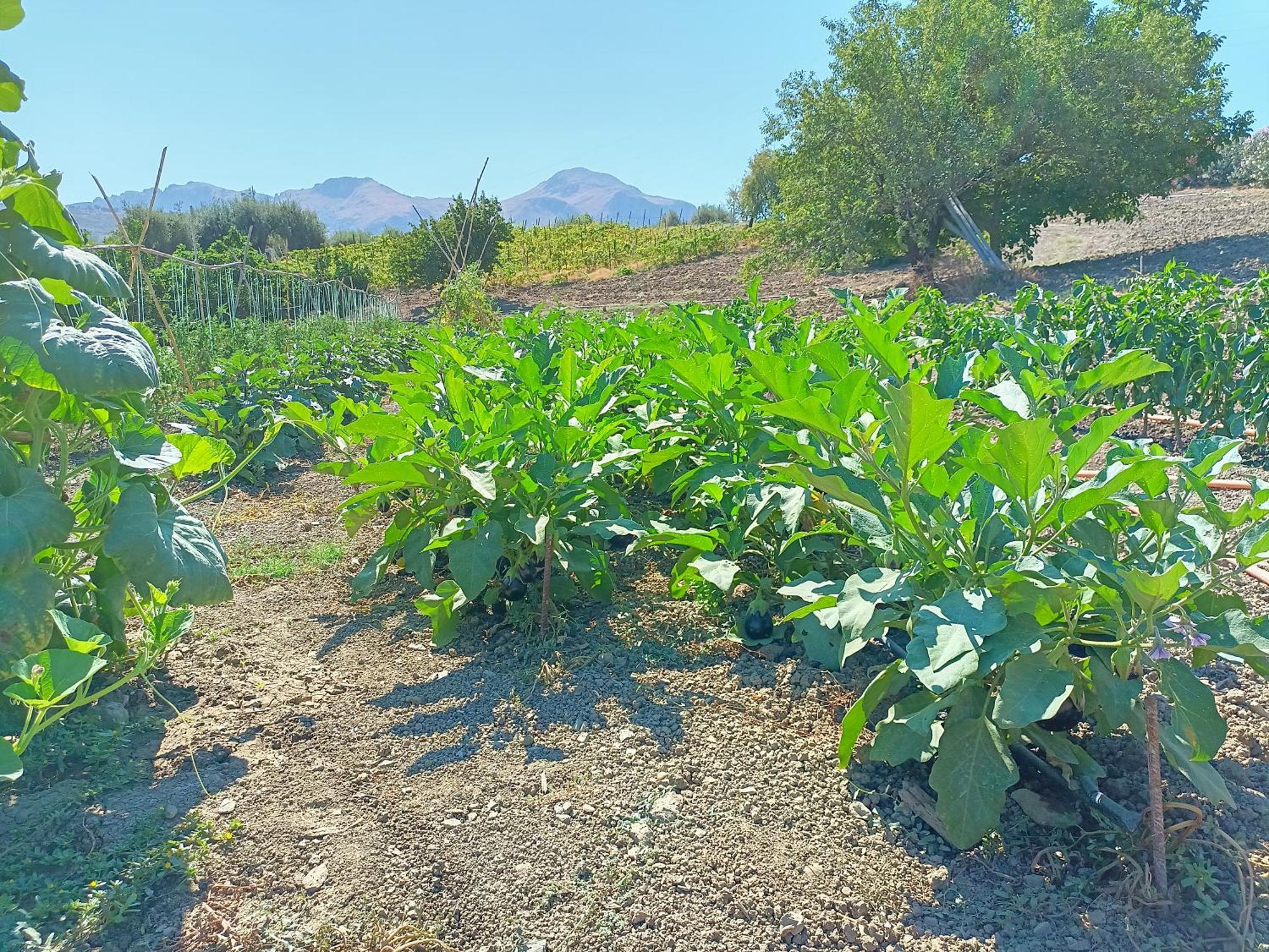 Вілла Agriturismo Le Campanelle - Sicilia - Cefalu Ласкарі Екстер'єр фото