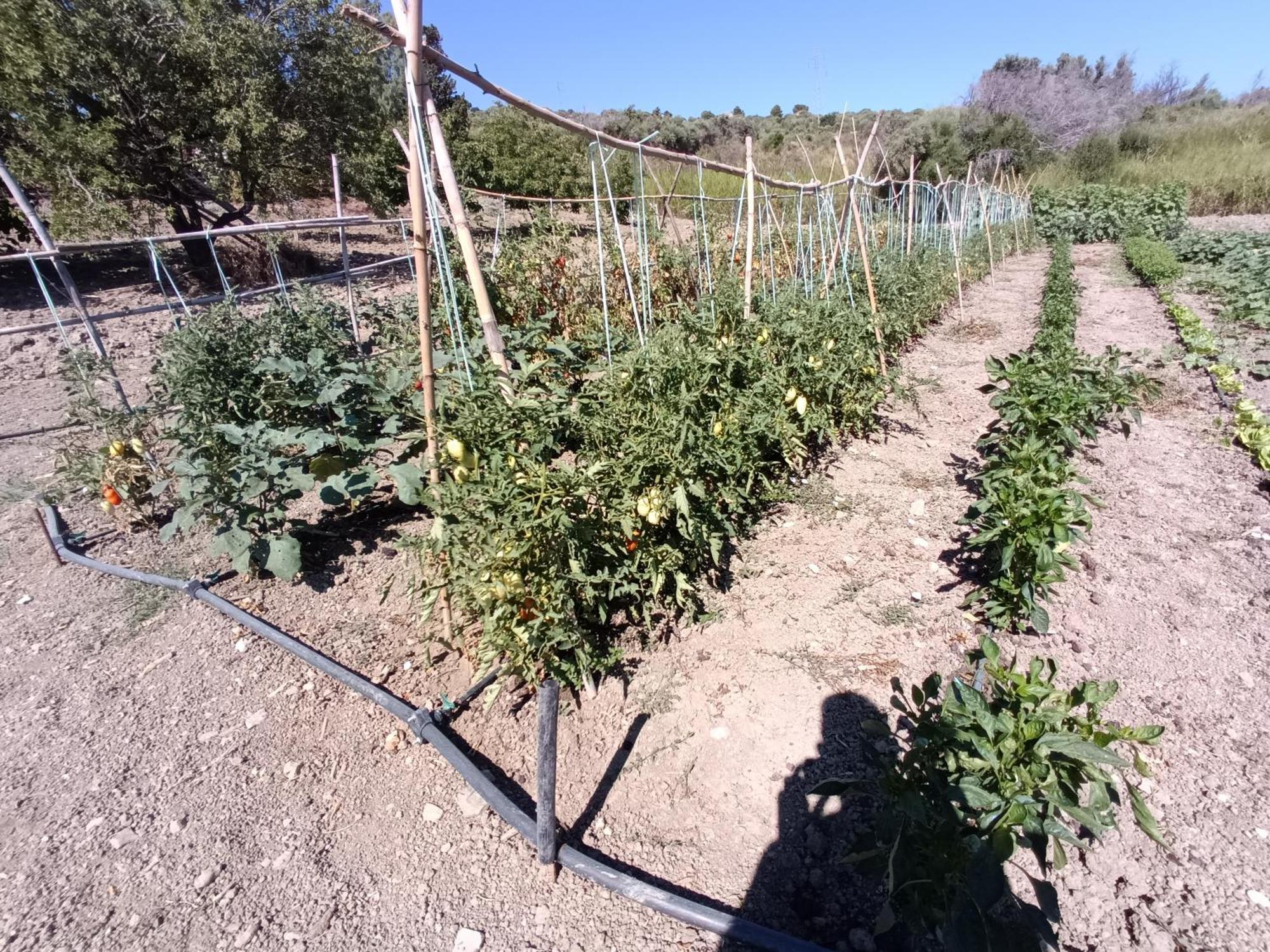 Вілла Agriturismo Le Campanelle - Sicilia - Cefalu Ласкарі Екстер'єр фото